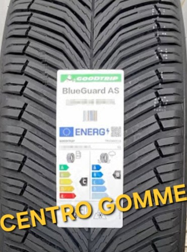 205 r16 91v - r16, m+s